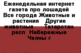 Еженедельная интернет - газета про лошадей - Все города Животные и растения » Другие животные   . Татарстан респ.,Набережные Челны г.